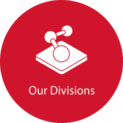 our divisions